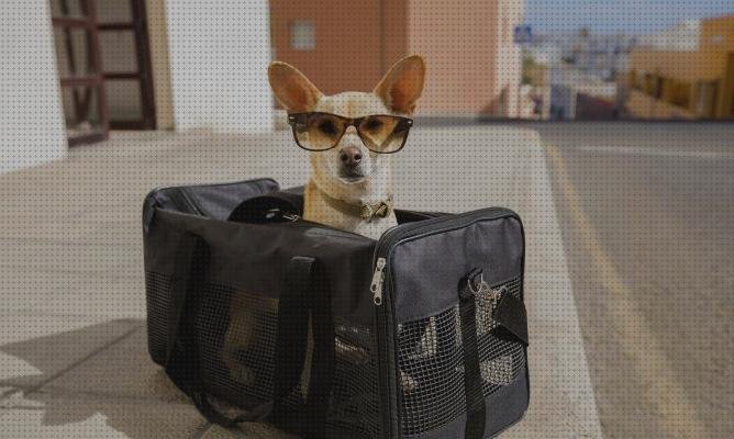 Las mejores 21 Maletas De Viajes Perritos