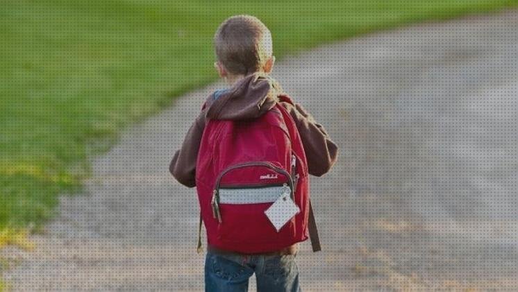 ¿Dónde poder comprar mochilas escolares marca flamenco Más sobre mochilas escolares reforzadas mochilas escolar y maleta viaje conjunto niña mochilas escolares marca el niño?