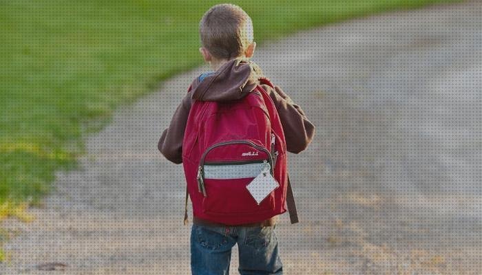 Las mejores mochilas escolares marca flamenco Más sobre mochilas escolares reforzadas mochilas escolar y maleta viaje conjunto niña mochilas escolares marca el niño